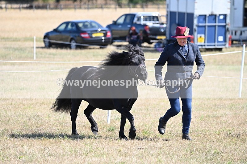 WJ6_4509 - Class 17 Mountain & Moorland