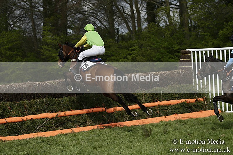PtP 170417 305 - Old Berks Point-to-Point Lockinge 17/04/17