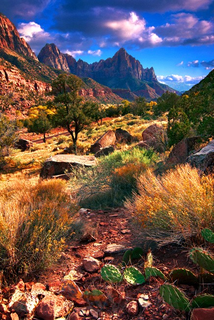 Zion National Park Utah USA - Land