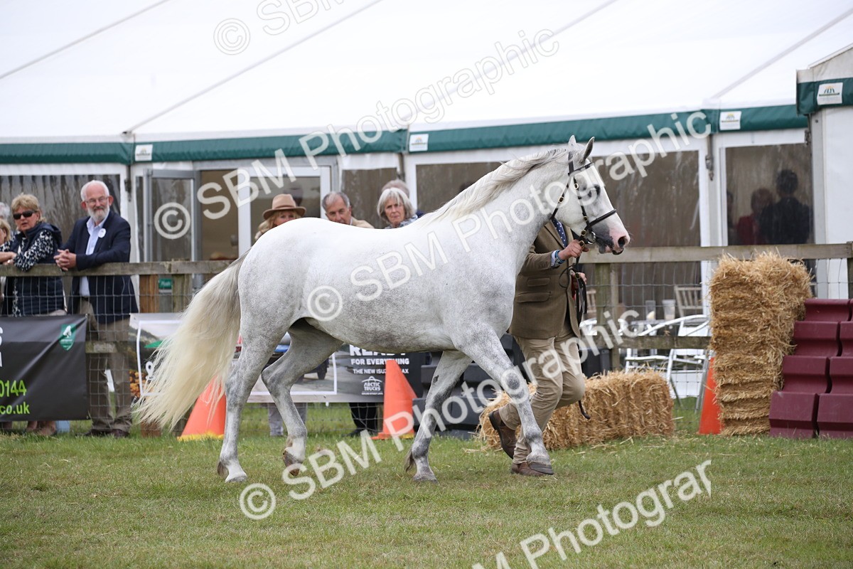 SBM_09786 - Ch 50 - Price Family Supreme In Hand