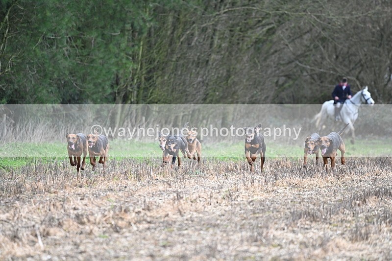 WJ6_9417 - Line Four