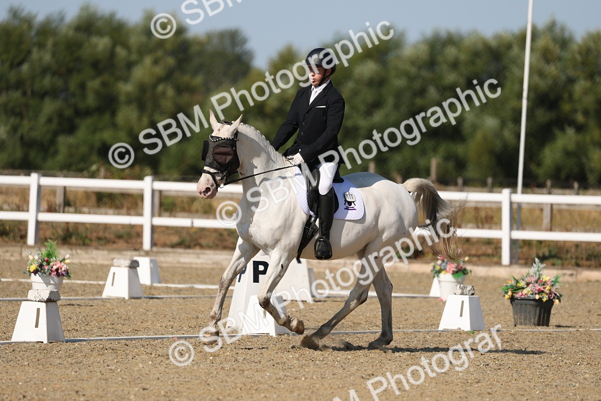 SBM_012825 - Class 1 - P5 Bronze 9.00.10.12