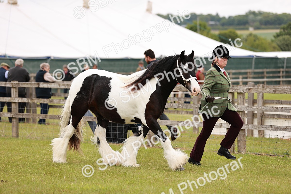 SBM_05960 - Class 39-41 TGCA In Hand and Ridden