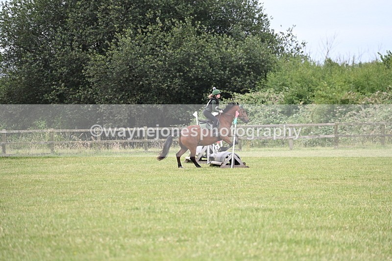 WJ6_6466 - 60cm XC Time 10:17 to 10:49