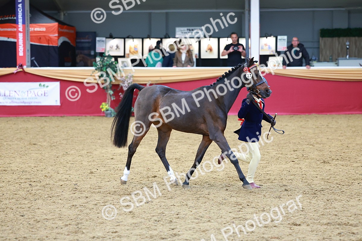 SBM_03014