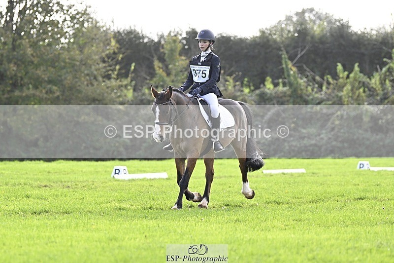 241025-121307-07045 - 375-Erin.Brown-50.SHADES.OF.BAY