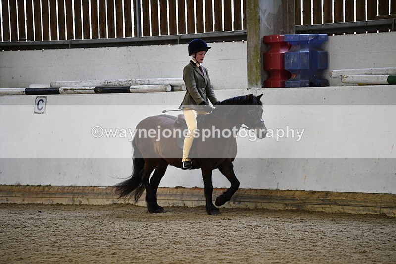 WJ5_6509 - Class 10 Childs Pony