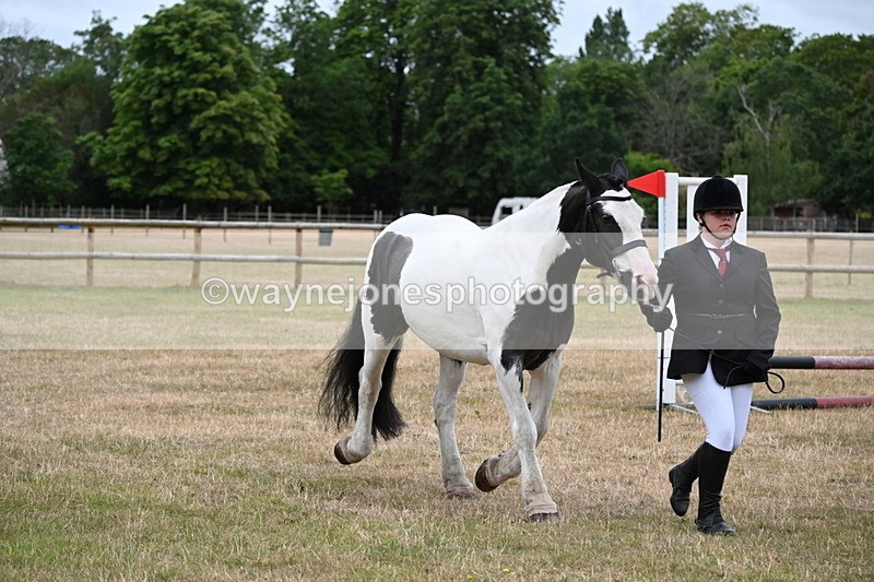 WJ6_4372 - Class 10 Coloured In-hand