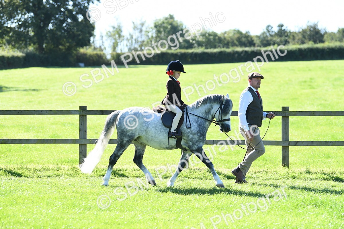 SBM_39514 - S18 - Novice & Newcomers Lead Rein Pony
