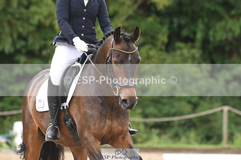 250720A-121516-10199 - 098-Becky.Littleton-Optical.Illusion