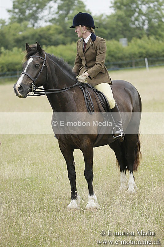 B230619-0088 - Bourne Valley Riding Club Summer Show 23/06/19