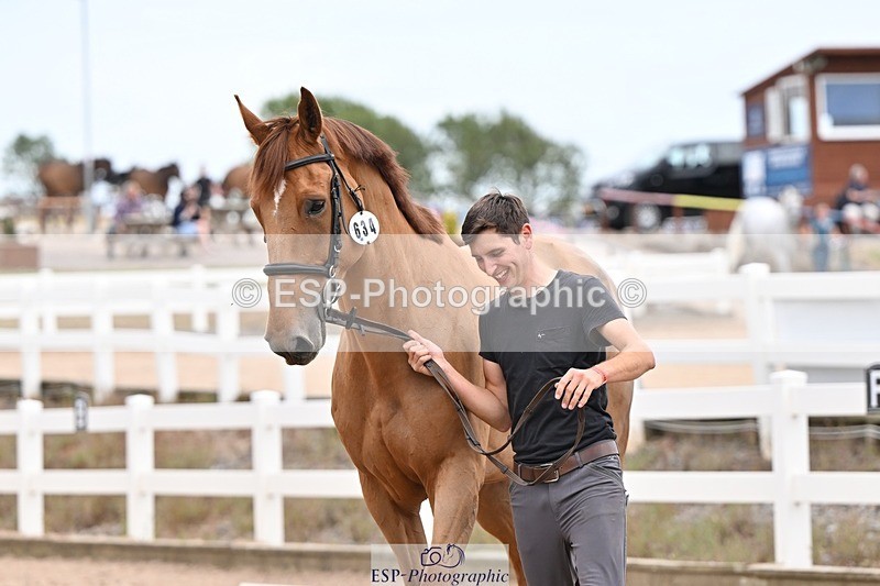 250716-155217-02250 - Trot Up 3.30 to 4.30