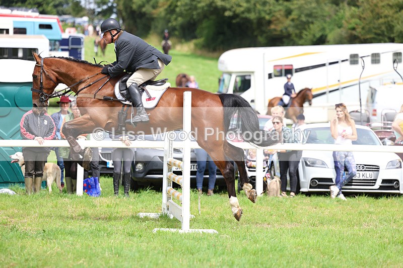 3E7A6885 - Class 5: Senior British Novice/90cm open