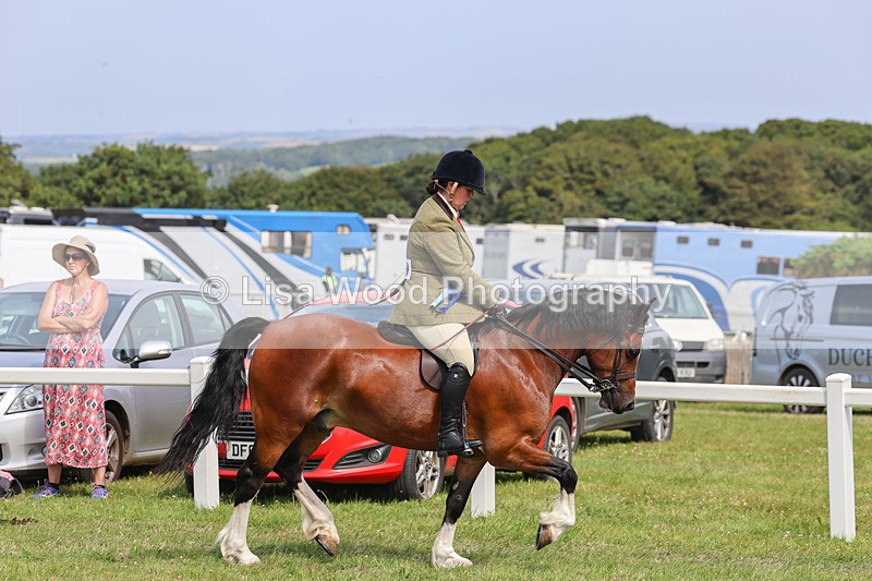 IMG_3729 - M & M Ridden Championship