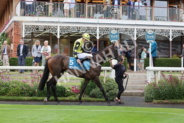 yr22072022r2-11 - Race 2 5.50pm eventmasters.co.uk Stakes