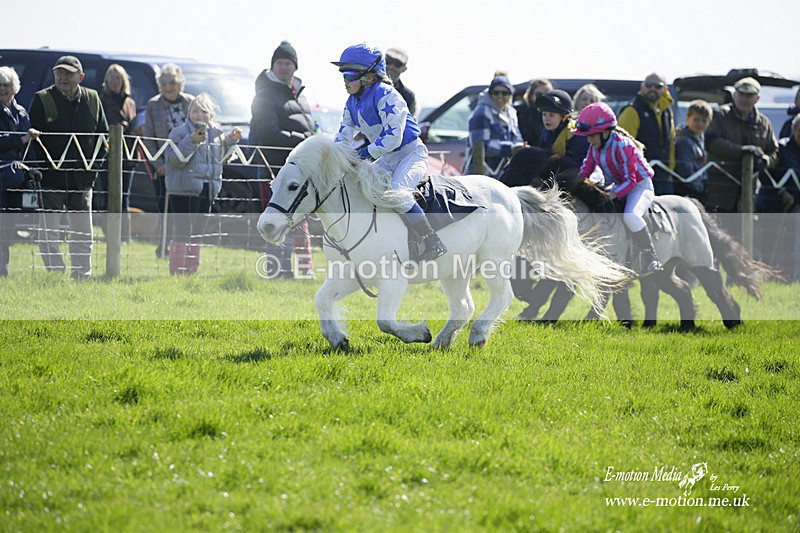 PtP 190322 77 - Wilton Hunt PtP Milborne St Andrew 19/03/22