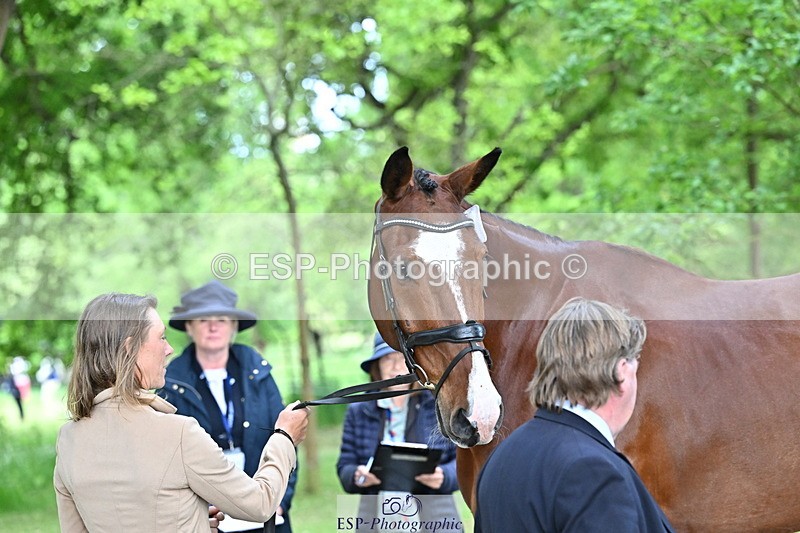 250521A-165518-01402 - C-272-Louisa.Lockwood-KILCANNON.OREO