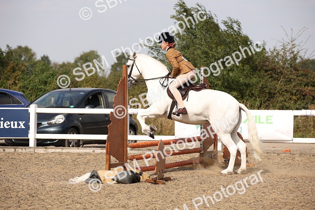 SBM_15038 - Class 408a - Working Veteran 70cm (15-19