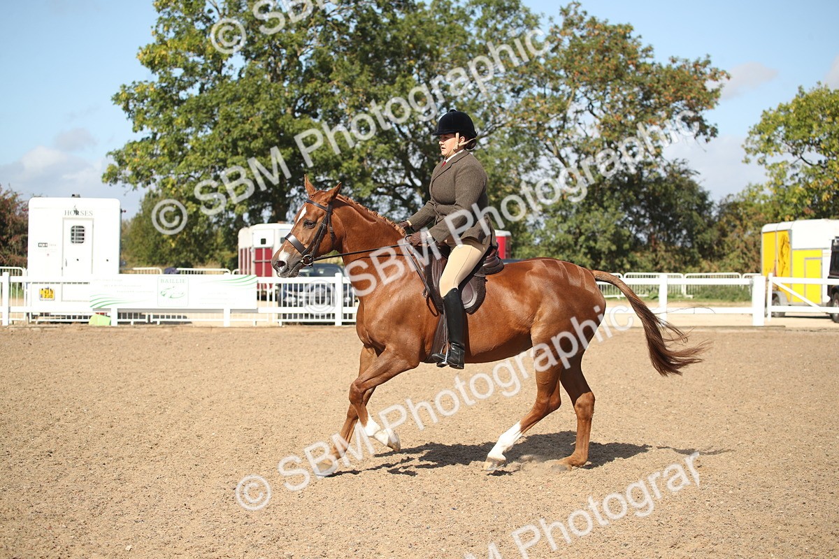 SBM_22935 - Class 603 - 2026 - Ridden Pre Vet