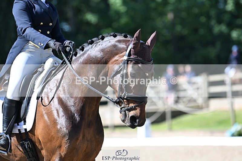 250522A-100942-02845 - A-011-Milly.Assheton-ILEXA