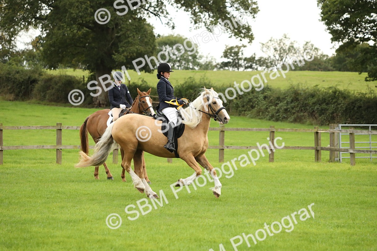 SBM_73898 - S41 - Ridden Equitation (Best Rider)