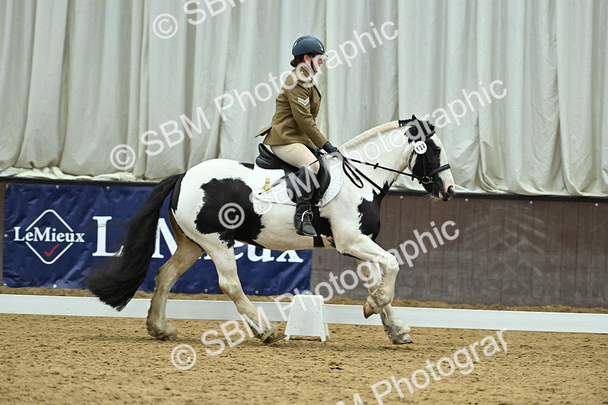 SBM_007383 - Class 81 - Novice 3