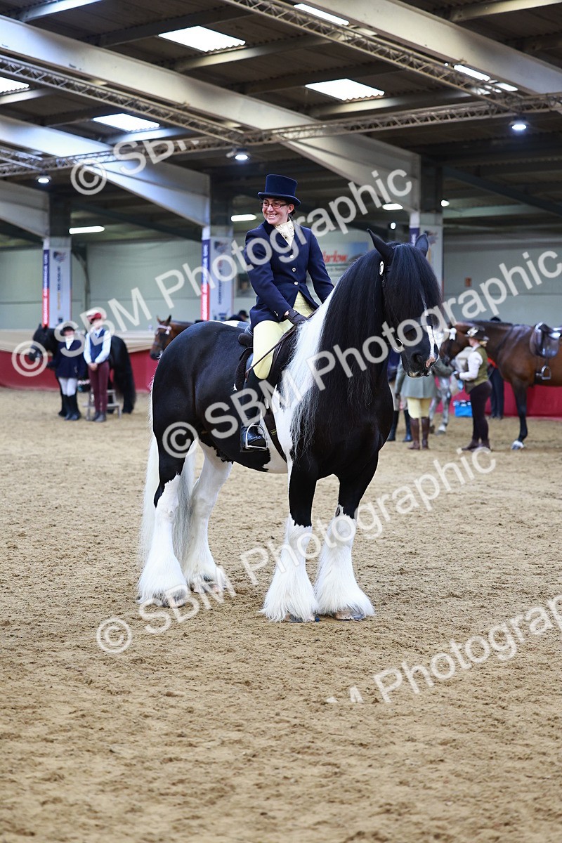 SBM_23467 - class 906 - Supreme Final - Ridden Pre Vet