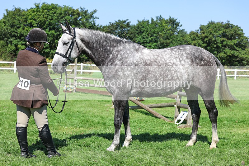 3E7A8463 - Class 4: Novice working Hunter