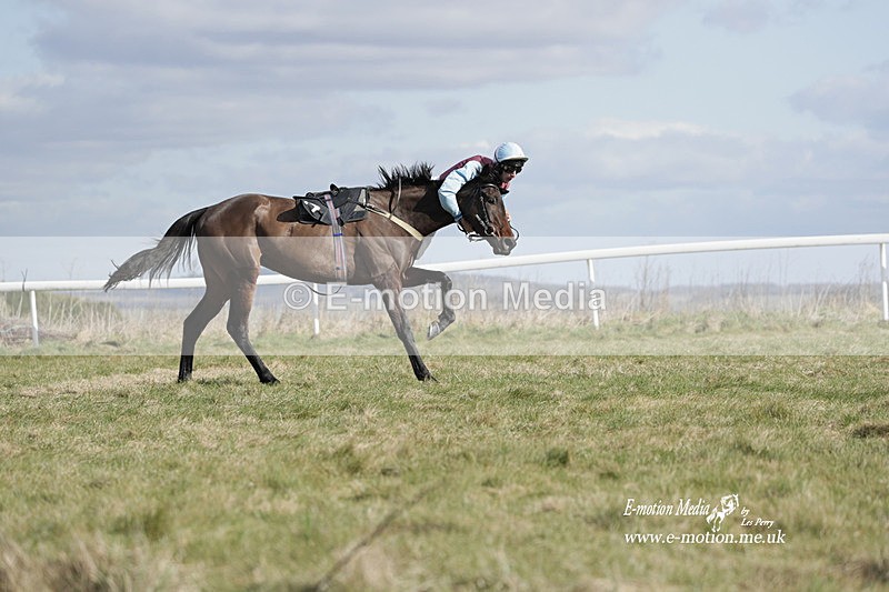 PtP 260223 485 - South & West Wilts Point-to-Point Larkhill 26/02/23