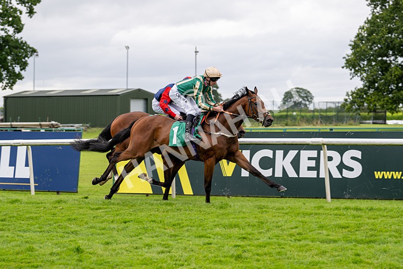 030724-Race 2-The Crafty Mole-0534 - Race 2