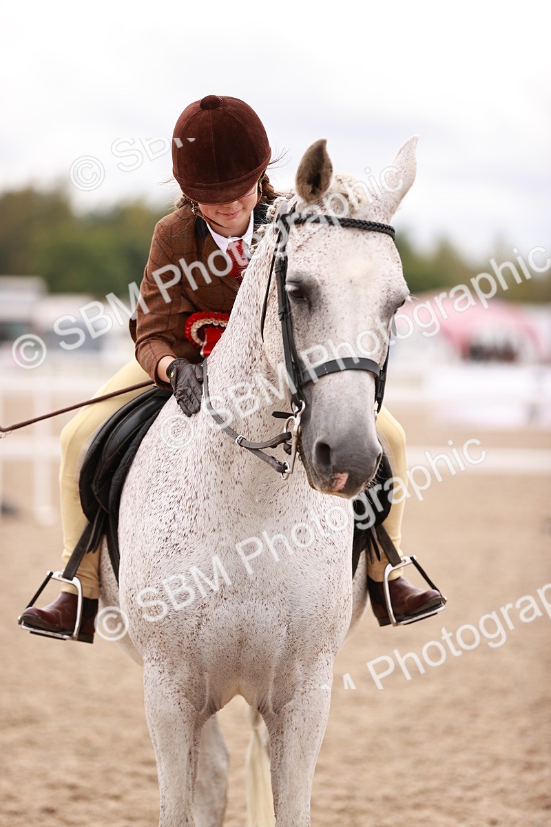 SBM_18604 - Class 421 - Childs Best Friend - Jnr