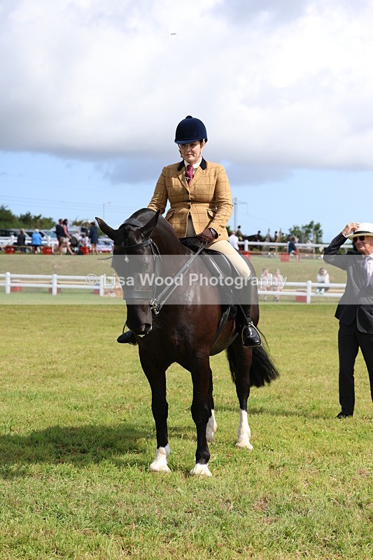 3E7A9811 - Class 5: Rising Star Lightweight/Heavyweight Cobs