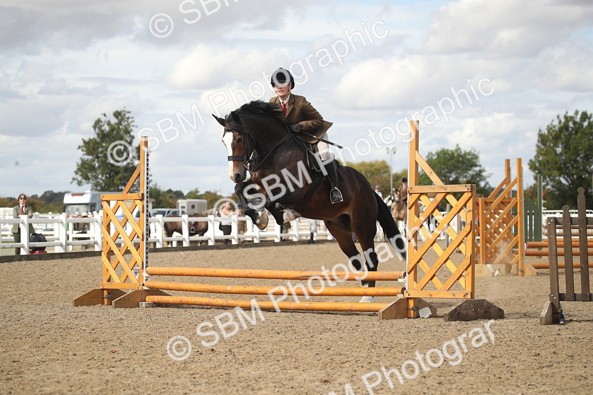 SBM_14506 - Class 505a - M&M Working Veteran - 50cm (15-19)