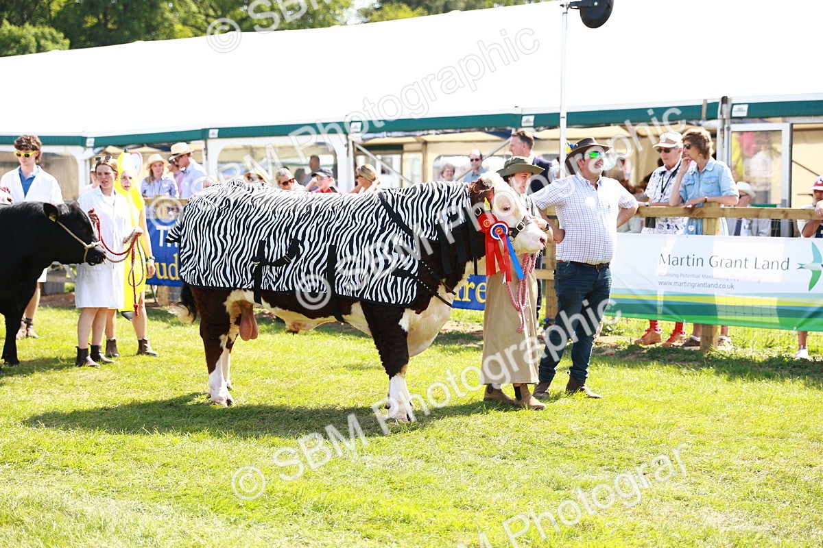 SBM_08429 - Grand Parade