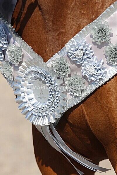 SIAL2441 - Outdoor championship & supreme