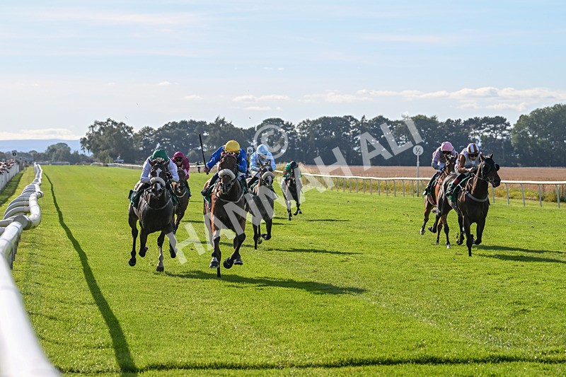 160924-Race 5-King Of The Jungle-2961 - Race 5