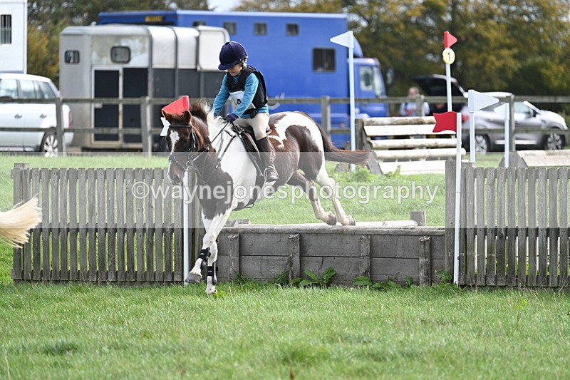 WJ7_8444 - 60cm Pairs