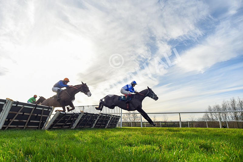 161225-Race 1-Born In The West-7548 - Race 1