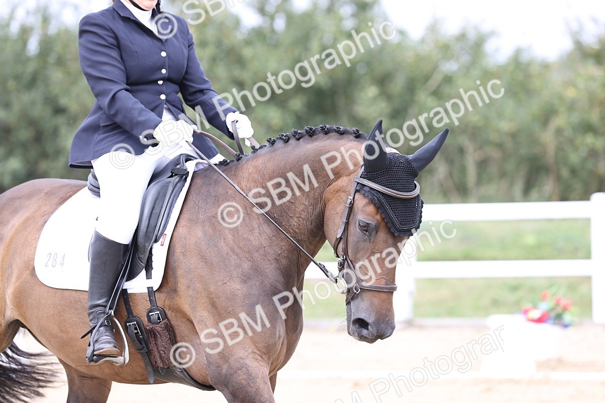 SBM_017479 - Class 14 - Novice 23 - 13.52-14.55