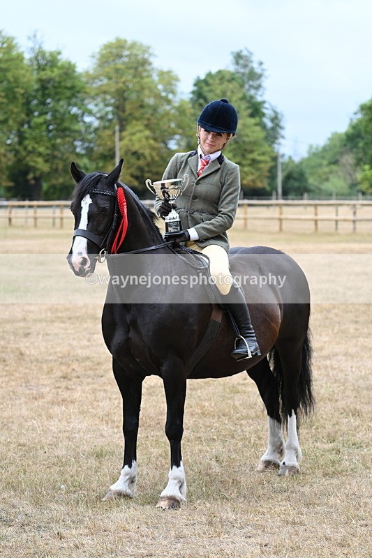 WJ7_1046 - Photo Shoots