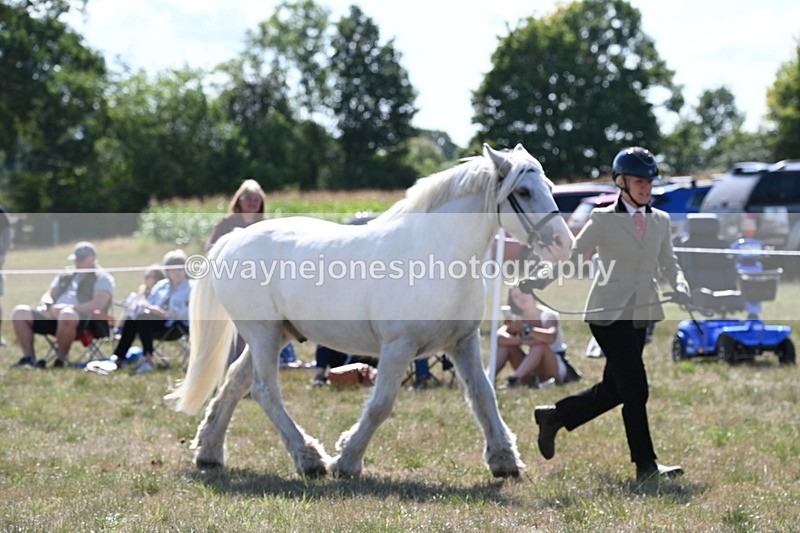 WJ6_4906 - Class 17 Mountain & Moorland