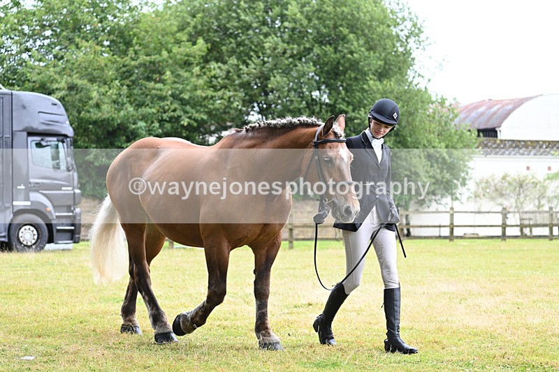 WJ7_6081 - Class 4a Prettiest Mare over 14hh