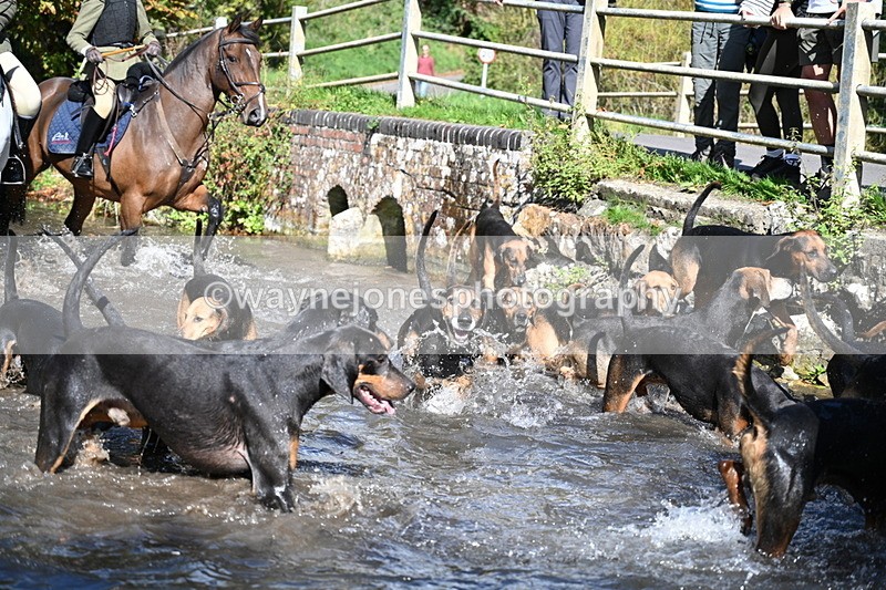 WJ7_5991 - Hounds Water Crossing