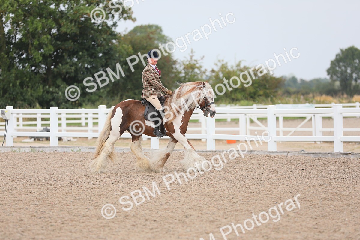 SBM_12675 - Class 307 Ridden Coloured Pony
