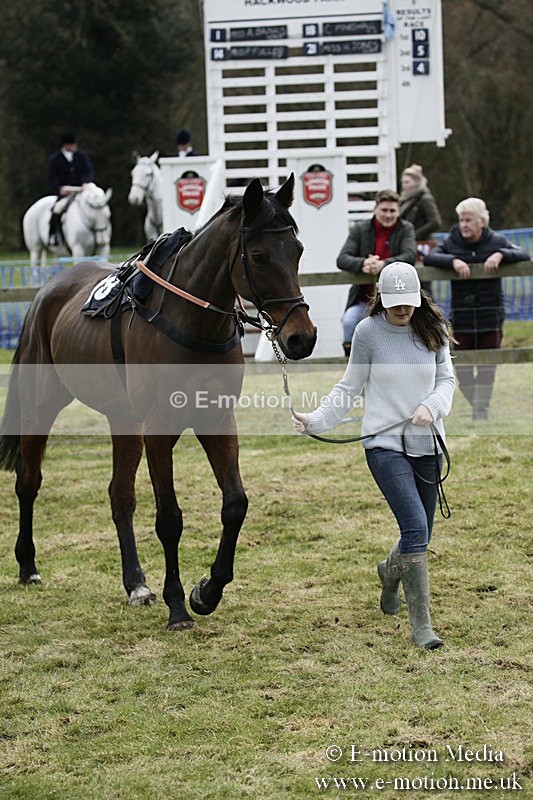 PtP 110318 97 - Hampshire Hunt Point-to-Point Hackwood Park 11/03/18