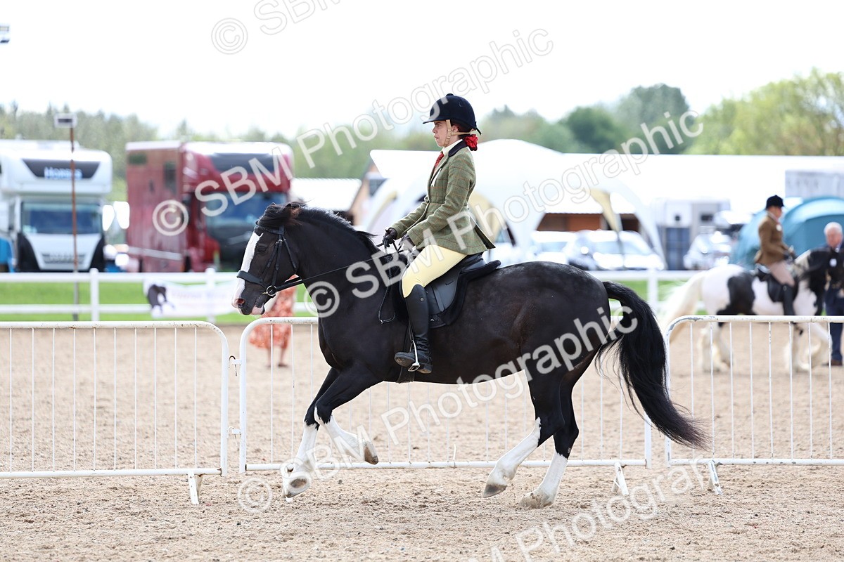 SBM_15808 - Class 314 - Family Horse - Pony
