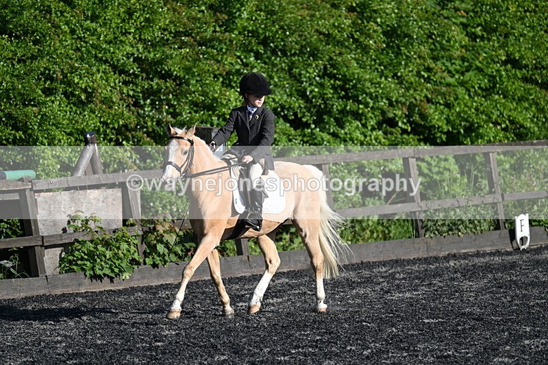 WJ7_4585 - Class 2 Prelim 1