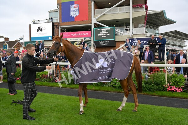 yr18082021r6-50 - Race 6 4.45pm IRE-Incentive It Pays To Buy Irish Stakes