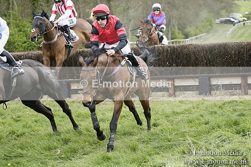 PtP 170417 455 - Old Berks Point-to-Point Lockinge 17/04/17