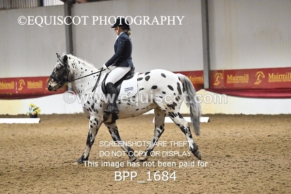 BPP_1684 - PC NOVICE DRESSAGE